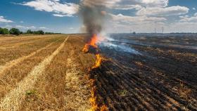 В ДНР из-за обстрелов сгорела крупная партия пшеницы